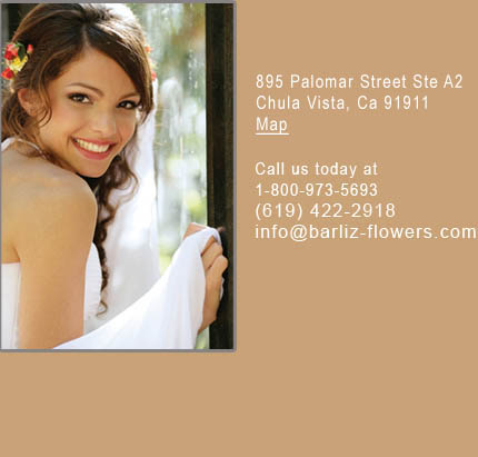 Barliz Contact
